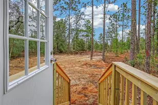 419 Lily Trail, Interlachen, FL 32148 - Photo 24