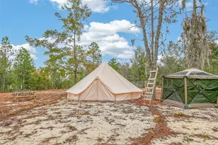 419 Lily Trail, Interlachen, FL 32148 - Photo 62