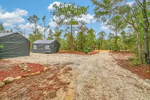 419 Lily Trail, Interlachen, FL 32148 - Photo 60