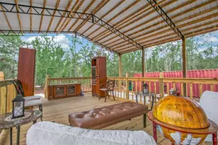 419 Lily Trail, Interlachen, FL 32148 - Photo 46