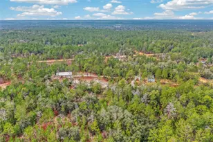 419 Lily Trail, Interlachen, FL 32148 - Photo 70