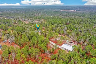 419 Lily Trail, Interlachen, FL 32148 - Photo 66