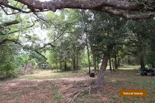 20526 N State Rd 121, Alachua, FL 32615 - Photo 8