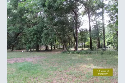 20526 N State Road 121, Alachua, FL 32615 - Photo 6