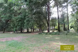 20526 N State Rd 121, Alachua, FL 32615 - Photo 6