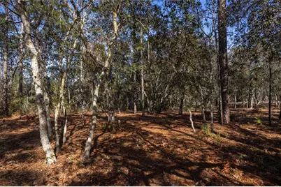 5793 SW 121st Terrace, Ocala, FL 34481 - Photo 44