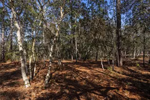 5793 SW 121st Terrace, Ocala, FL 34481 - Photo 44