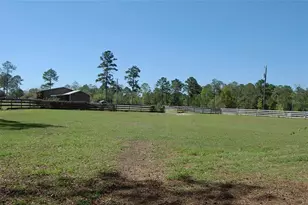 27471 NW 173rd Terrace, Alachua, FL 32615 - Photo 44