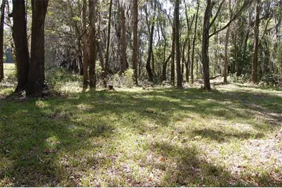 27471 NW 173rd Terrace, Alachua, FL 32615 - Photo 48
