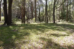 27471 NW 173rd Terrace, Alachua, FL 32615 - Photo 48