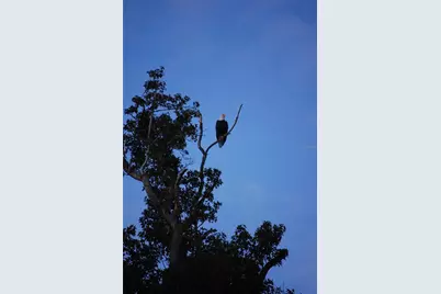 27471 NW 173rd Terrace, Alachua, FL 32615 - Photo 40