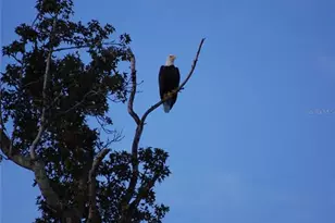 27471 NW 173rd Terrace, Alachua, FL 32615 - Photo 40