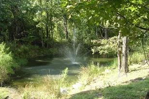 27471 NW 173rd Terrace, Alachua, FL 32615 - Photo 36