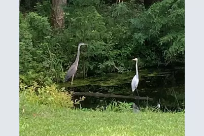 27471 NW 173rd Terrace, Alachua, FL 32615 - Photo 34