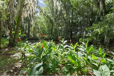 27471 NW 173rd Terrace, Alachua, FL 32615 - Photo 56