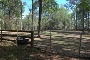 27471 NW 173rd Terrace, Alachua, FL 32615 - Photo 46
