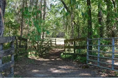 27471 NW 173rd Terrace, Alachua, FL 32615 - Photo 50