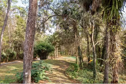 22675 NW 75th Avenue Road, Micanopy, FL 32667 - Photo 52