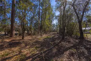 155th Way, Starke, FL 32091 - Photo 4