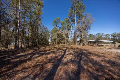 155th Way, Starke, FL 32091 - Photo 8