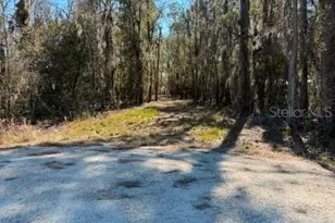 155th Way, Starke, FL 32091 - Photo 22