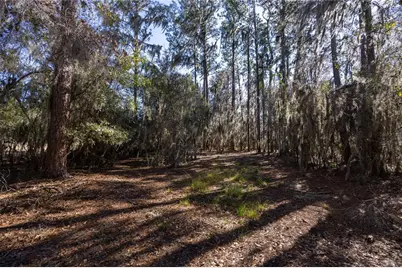 155th Way, Starke, FL 32091 - Photo 10