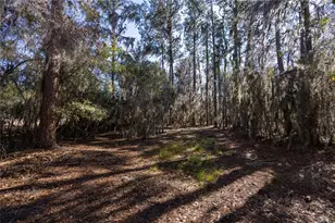 155th Way, Starke, FL 32091 - Photo 10