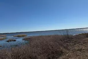 155th Way, Starke, FL 32091 - Photo 28