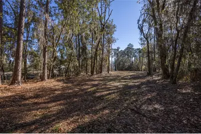 155th Way, Starke, FL 32091 - Photo 6