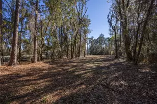 155th Way, Starke, FL 32091 - Photo 6