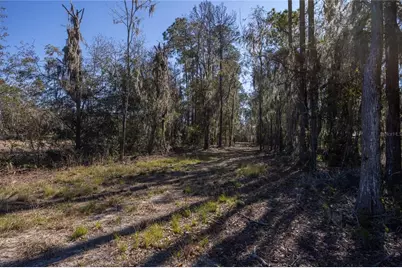 155th Way, Starke, FL 32091 - Photo 2