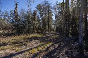 155th Way, Starke, FL 32091 - Photo 2