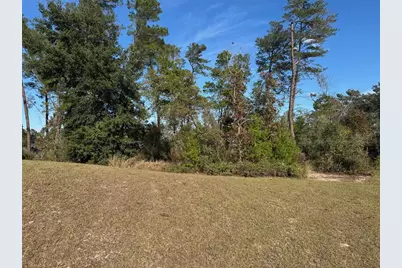 10645 SW 51st Avenue, Ocala, FL 34476 - Photo 38