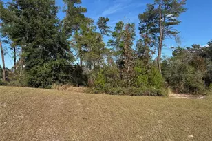 10645 SW 51st Ave, Ocala, FL 34476 - Photo 38