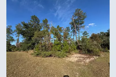 10645 SW 51st Avenue, Ocala, FL 34476 - Photo 40