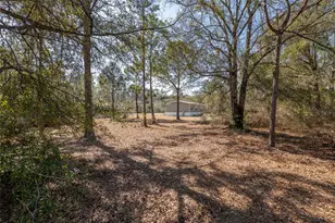 5109 NW 188th Terrace, Starke, FL 32091 - Photo 56