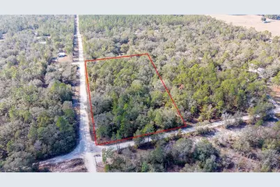 65 NW 10th Avenue, Bell, FL 32619 - Photo 2