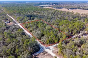 65 NW 10th Ave, Bell, FL 32619 - Photo 1