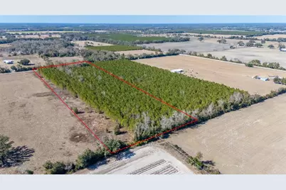 002 NW 10th Avenue, Trenton, FL 32693 - Photo 6