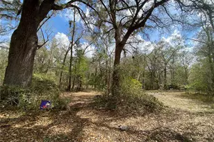 15213 NW 31st Terrace, Gainesville, FL 32609 - Photo 28