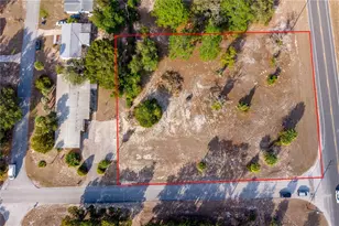 Tbd NE State Rd 121 Lot 2, Williston, FL 32696 - Photo 1