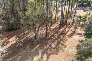 17714 Veterans Way, Micanopy, FL 32667 - Photo 58