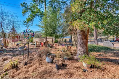 1208 N County Road 315, Melrose, FL 32666 - Photo 42