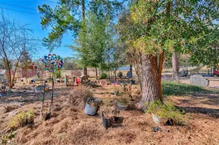 1208 N County Road 315, Melrose, FL 32666 - Photo 44