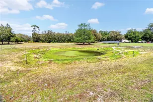 1208 N County Road 315, Melrose, FL 32666 - Photo 54