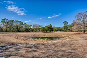 1208 N County Road 315, Melrose, FL 32666 - Photo 48