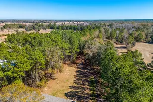 7088 SW County Road 796, Lake Butler, FL 32054 - Photo 30