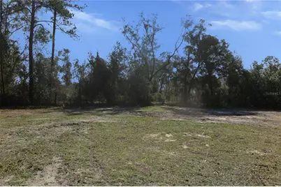 21315 NE 35th Place, Hawthorne, FL 32640 - Photo 8