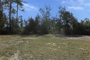 21315 NE 35th Pl, Hawthorne, FL 32640 - Photo 8