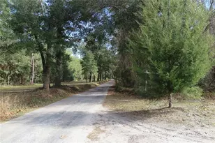 21315 NE 35th Pl, Hawthorne, FL 32640 - Photo 40